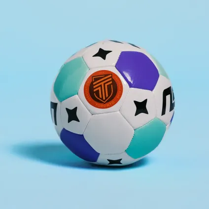 AFC Toronto x NSL Mini Ball